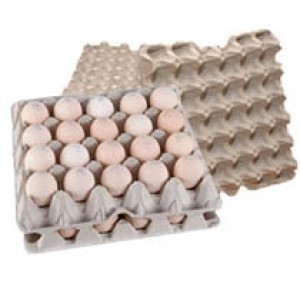 Упаковка для гусиных яиц