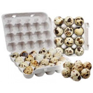 Упаковка для перепелиных яиц (контейнеры, лотки, бугорчатые прокладки, коробки) 