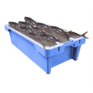 Ящики и лотки для рыбы и морепродуктов 