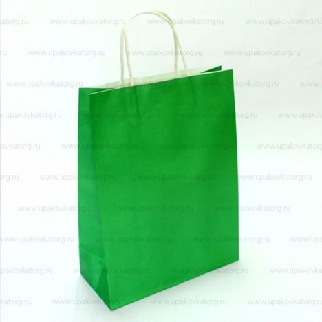 Крафт пакет зеленый с кручеными ручками 320х220х130 мм