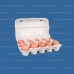 Картонный контейнер для 15 яиц