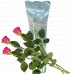 Пакеты конусные 9х21х80 см для 1 розы с металлизированной стороной