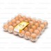 Коррекс для 30 яиц пластик