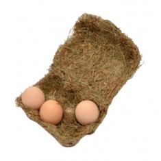 Необычная упаковка для яиц