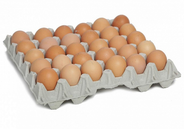 Бугорчатая прокладка с яйцами