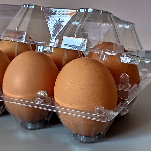 ПЭТ контейнер прозрачный для 10 яиц
