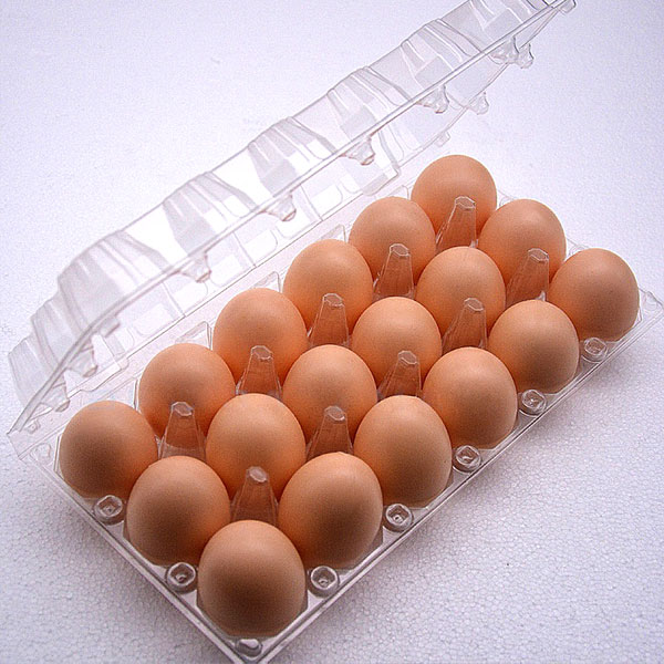 Контейнер для 18 яиц пластиковый