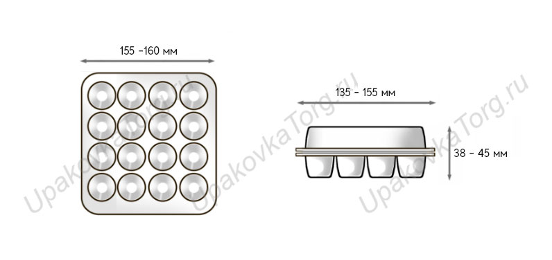 Схематичное изображение товара - Контейнер для 20 перепелиных яиц, 155x155x38 мм
