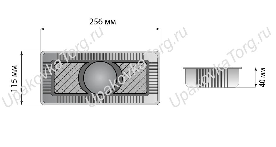 Схематичное изображение товара - Контейнер под запайку 256x115x40 мм, ПП