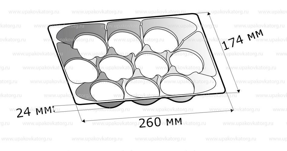 Схематичное изображение товара - Коррекс для зефира 260x174x24 мм, 10 ячеек