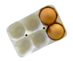 пластмассовая упаковка для яиц