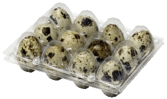 Перепелиные яйца в пластиковом контейнере