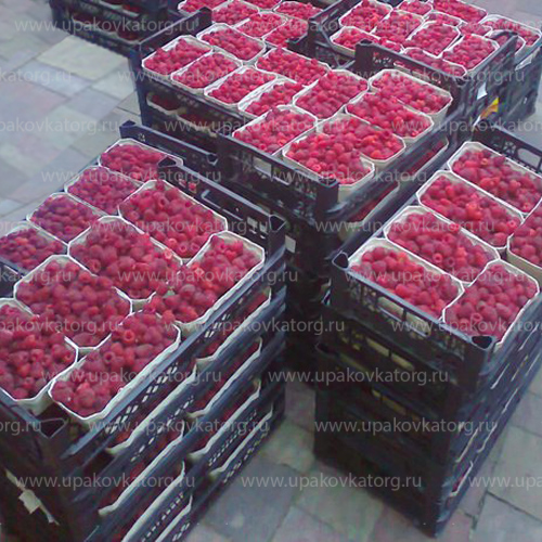 Пластиковый лоток для ягод с клубникой 600x400x135 мм